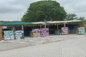 Gqeberha: Połączenie Parku Narodowego Addo Elephant i wycieczki wzdłuż wybrzeża