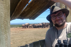 Gqeberha: Połączenie Parku Narodowego Addo Elephant i wycieczki wzdłuż wybrzeża