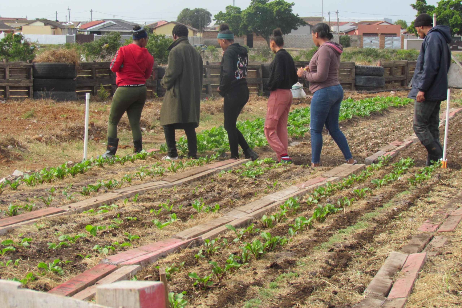 Gqeberha: Geführte Tour durch die Township Motherwell