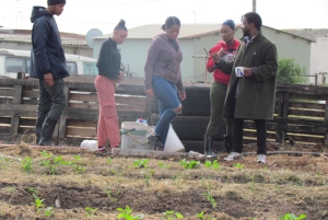 Gqeberha: zwiedzanie osiedla Motherwell z przewodnikiem