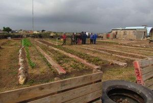 Gqeberha: zwiedzanie osiedla Motherwell z przewodnikiem