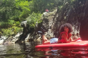 Autobus hop-on hop-off między Kapsztadem a Port Elizabeth