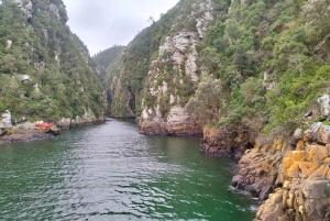 Johannesburg: 10-tägige Tour zu den Victoriafällen und entlang der Garden Route