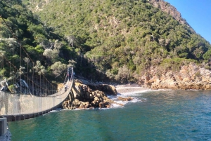 Johannesburg: 10-tägige Tour zu den Victoriafällen und entlang der Garden Route