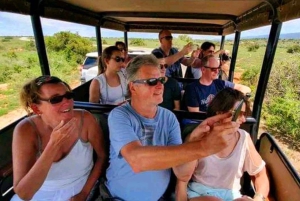 Johannesburg: 10-tägige Tour zu den Victoriafällen und entlang der Garden Route