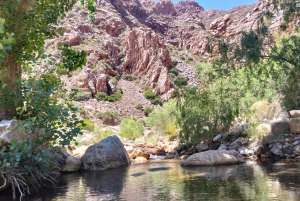 Johannesburg: 10-tägige Tour zu den Victoriafällen und entlang der Garden Route