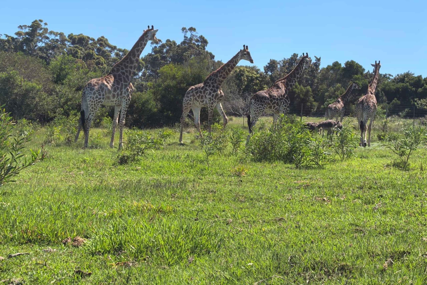 Park Kragga Kamma Game Park 4x4