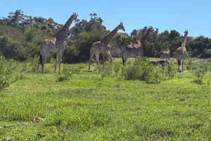 Park Kragga Kamma Game Park 4x4