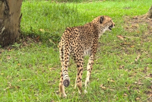 Park Kragga Kamma Game Park 4x4