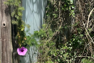 Park Kragga Kamma Game Park 4x4