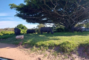 Park Kragga Kamma Game Park 4x4