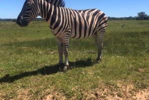 Park Kragga Kamma Game Park 4x4