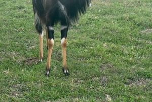 Park Kragga Kamma Game Park 4x4