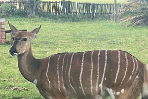 Park Kragga Kamma Game Park 4x4