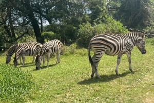 Park Kragga Kamma Game Park 4x4