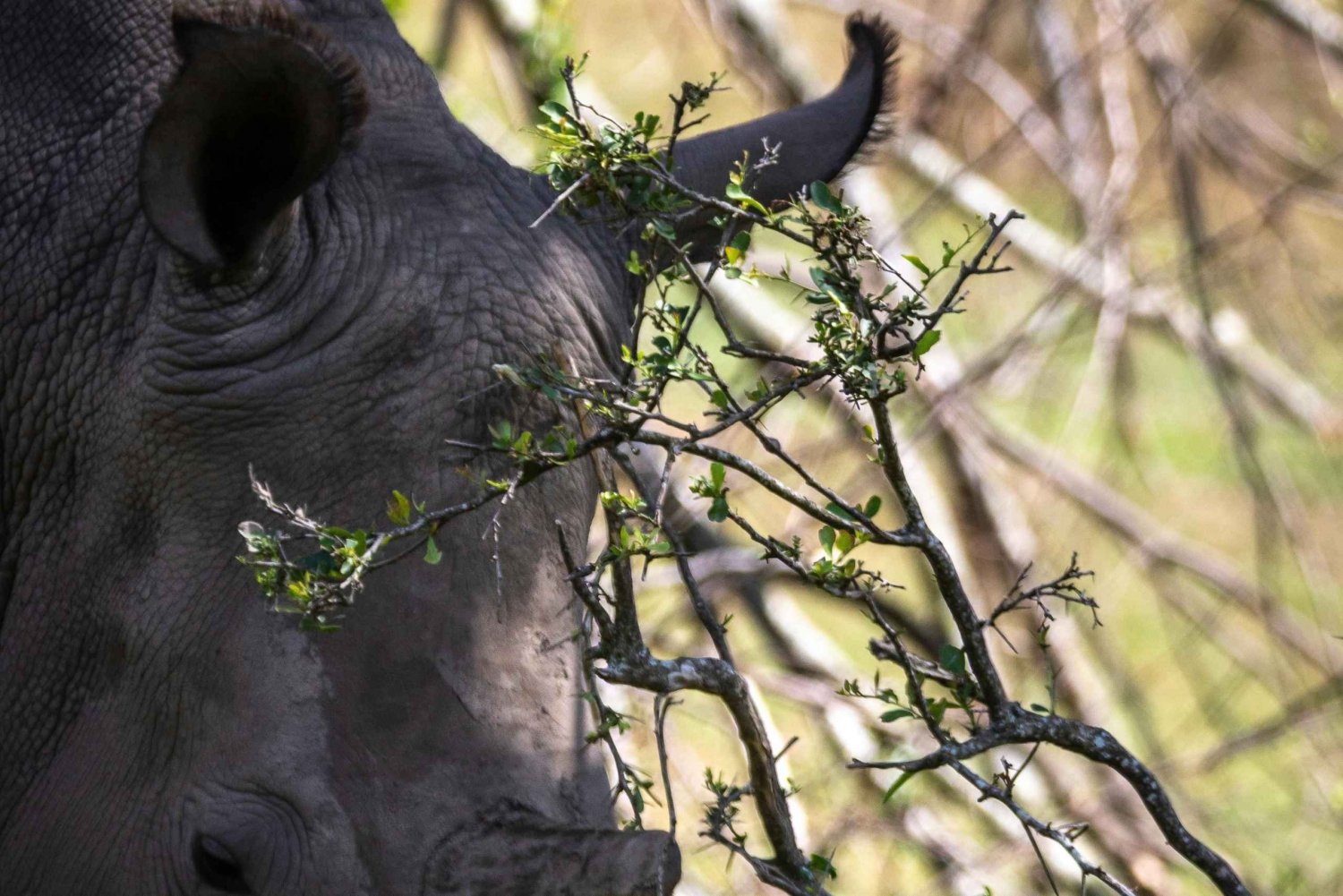 KRAGGA KAMMA GAME PARK