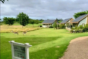Двухдневная экскурсия в Национальный парк слонов Аддо: Порт-Элизабет