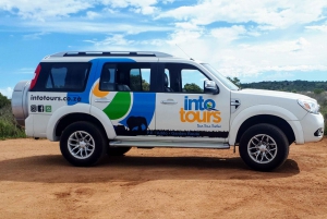 Port Elizabeth: Addo Elephant Park Full-Day Safari