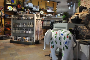 Port Elizabeth: Addo Elephant Park Full-Day Safari