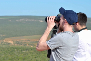 Port Elizabeth: Addo Elephant Park Safari Full-Day Tour