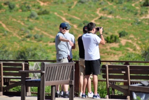 Порт-Элизабет: сафари в парке Аддо – береговая экскурсия + трансфер