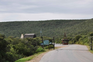 Порт-Элизабет: сафари в парке Аддо – береговая экскурсия + трансфер