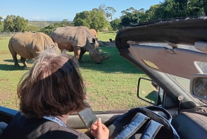 Ganztägige Addo-Elefanten-Safari & Städtetour in Port Elizabeth