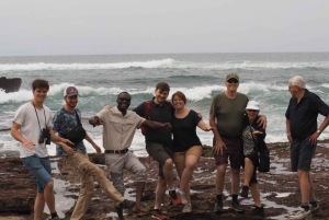 Ganztägige Addo-Elefanten-Safari & Städtetour in Port Elizabeth