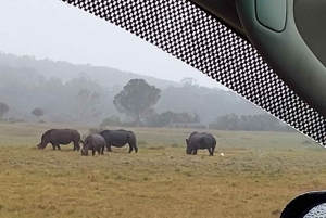 Port Elizabeth: Kragga Kamma Wildpark und Stadtführung