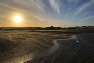 Port Elizabeth: River Cruise on the Sundays River