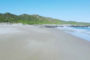 Całodniowa wycieczka do Parku Narodowego Tsitsikamma: Port Elizabeth