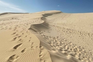 Całodniowa wycieczka do Parku Narodowego Tsitsikamma: Port Elizabeth