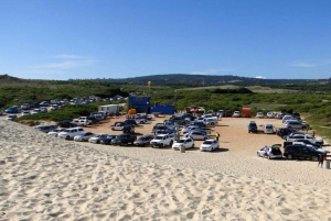 Całodniowa wycieczka do Parku Narodowego Tsitsikamma: Port Elizabeth