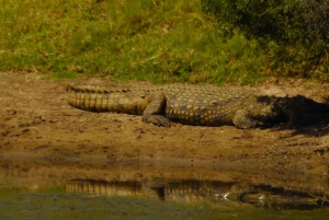 Частный заповедник Schotia Safaris: Порт-Элизабет