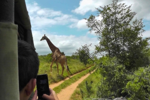 Частный заповедник Schotia Safaris: Порт-Элизабет