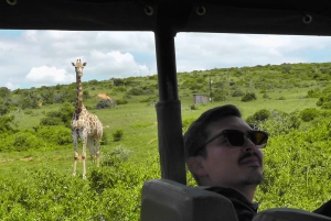 Частный заповедник Schotia Safaris: Порт-Элизабет