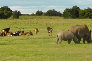 Частный заповедник Schotia Safaris: Порт-Элизабет