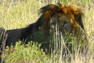 Частный заповедник Schotia Safaris: Порт-Элизабет