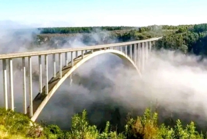 Całodniowa wycieczka do Parku Narodowego Tsitsikamma: Port Elizabeth