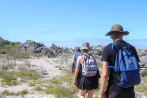 Całodniowa wycieczka do Parku Narodowego Tsitsikamma: Port Elizabeth