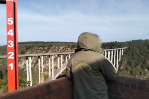 Całodniowa wycieczka do Parku Narodowego Tsitsikamma: Port Elizabeth