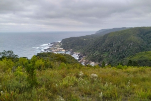 Całodniowa wycieczka do Parku Narodowego Tsitsikamma: Port Elizabeth