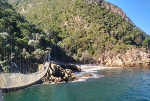 Całodniowa wycieczka do Parku Narodowego Tsitsikamma: Port Elizabeth