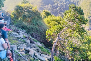 Całodniowa wycieczka do Parku Narodowego Tsitsikamma: Port Elizabeth