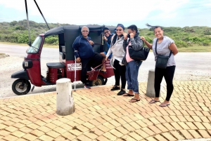 Port Elizabeth tuk-tuk tour, experience the natural beauty.