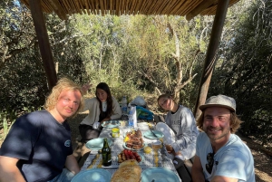 Prywatne safari w parku słoni Addo oraz odbiór i transport powrotny