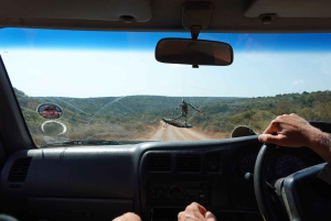 Prywatne safari w parku słoni Addo oraz odbiór i transport powrotny