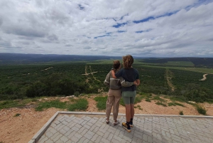 Prywatne safari w parku słoni Addo oraz odbiór i transport powrotny