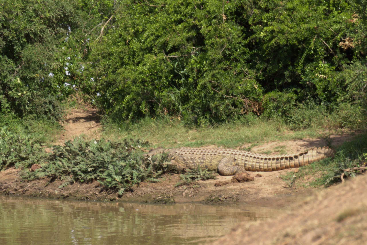 Частная дневная экскурсия по Шотиа + ночная поездка