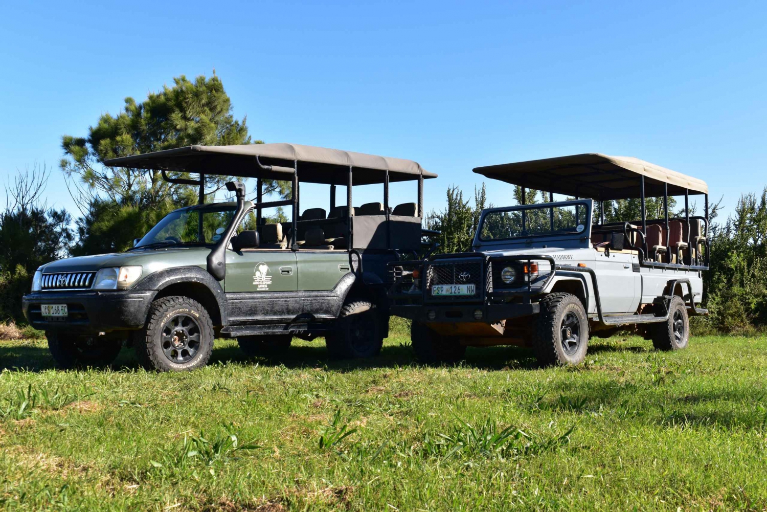 Safari w Schotii - całodniowa wycieczka